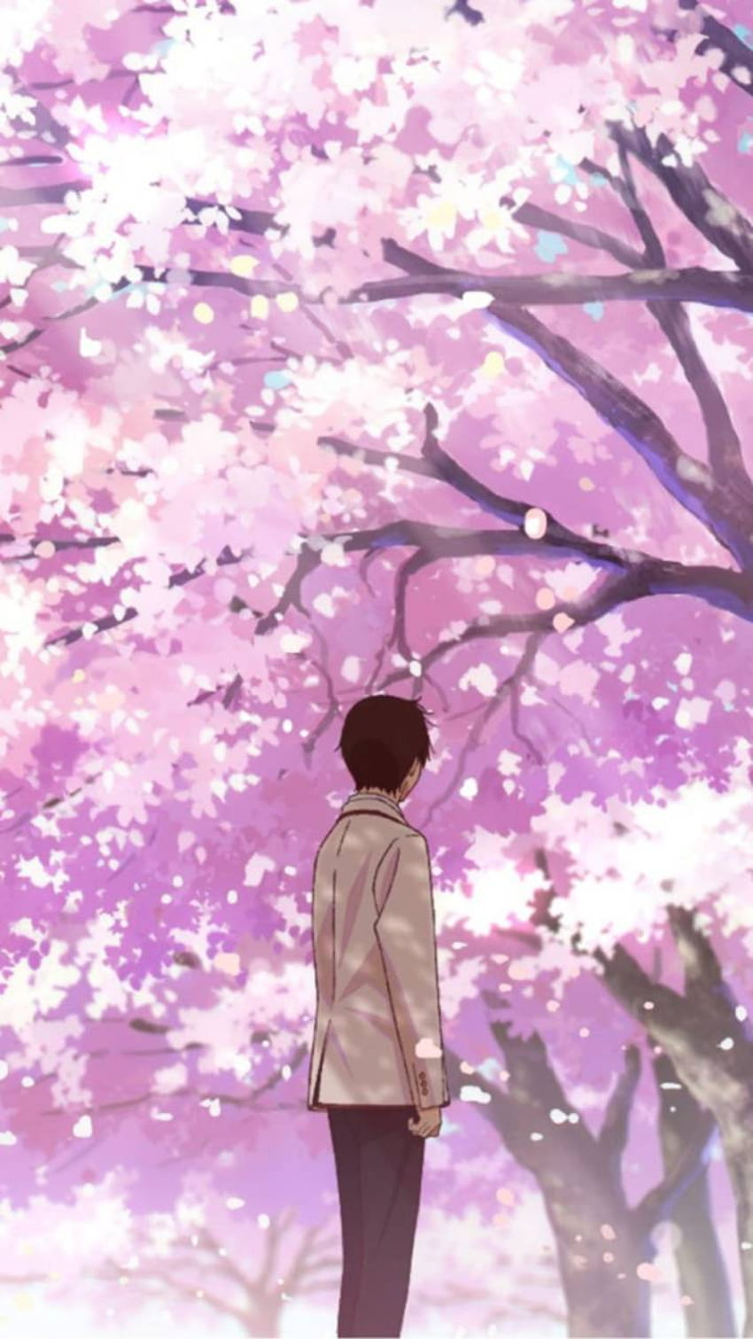 I Want To Eat Your Pancreas posted by Ryan Cunningham, i want to eat your pancreas mobile HD phone wallpaper