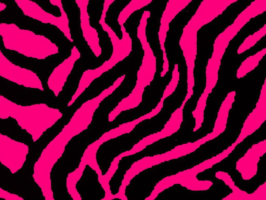 Pink And Black Zebra Print 10 Backgrounds HD wallpaper | Pxfuel