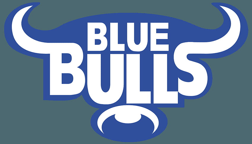 Blue Bulls Ice Bucket - Spicoly