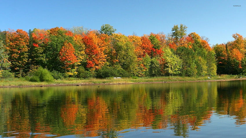 Autumn Forest By The Calm Lake, Calm Autumn Hd Wallpaper 