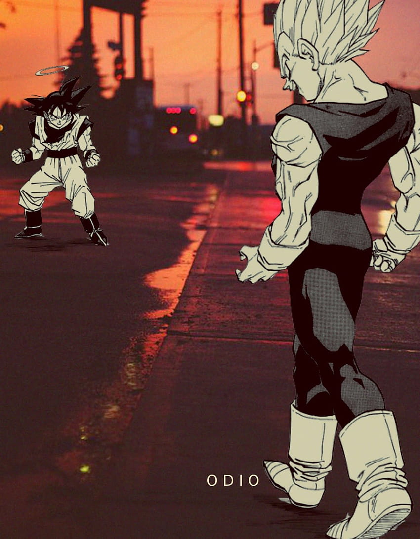 Son Goku 孫悟空 on Edits!, dragon ball aesthetic HD phone wallpaper