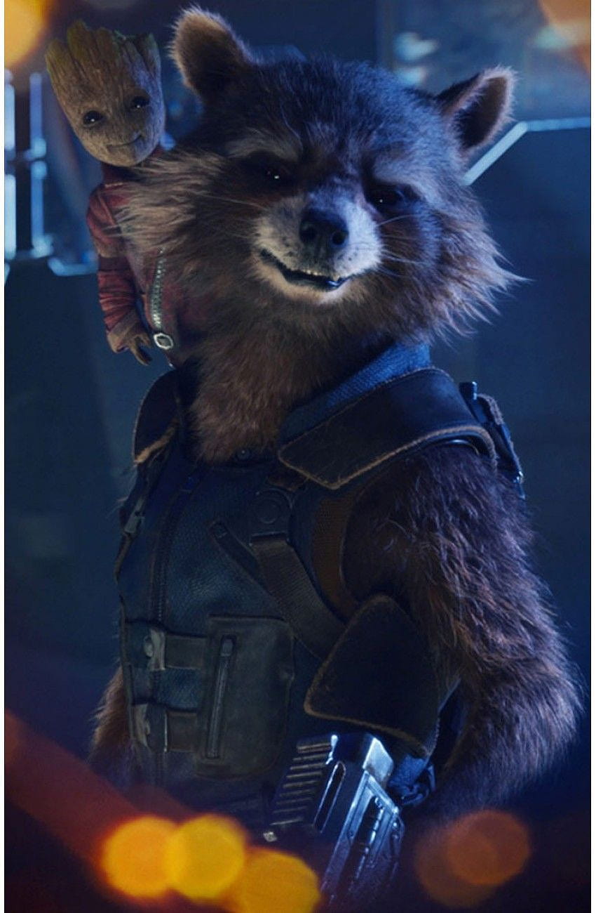 Guardians of the Galaxy Vol 2: Rocket Raccoon Vest, guardians of the galaxy vol 2 ракетна миеща мечка HD тапет за телефон