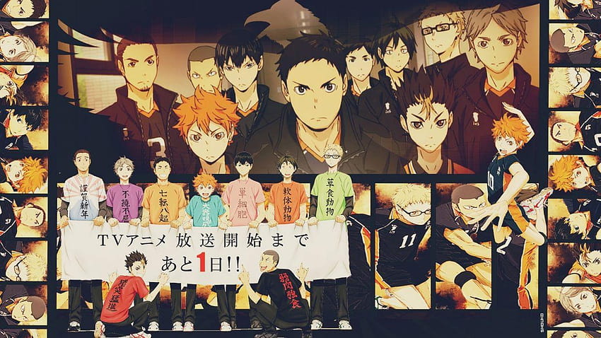 Tim Bola Voli Tinggi Anime Karasuno Haikyuu Wallpaper HD