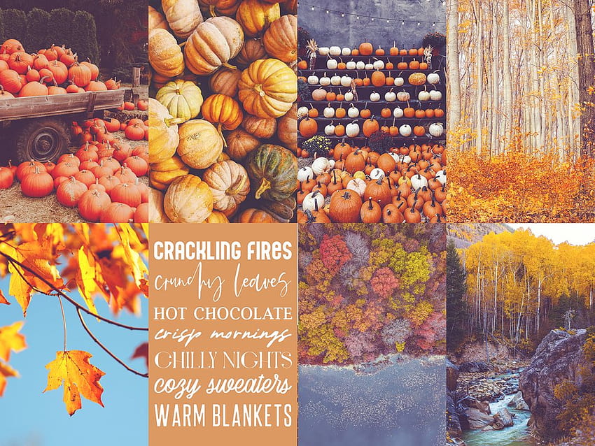 40 Piece Autumn Leaves Fall Holiday Vintage Halloween Wall Aesthetic C – Parody Art Prints, thanksgiving collage HD wallpaper
