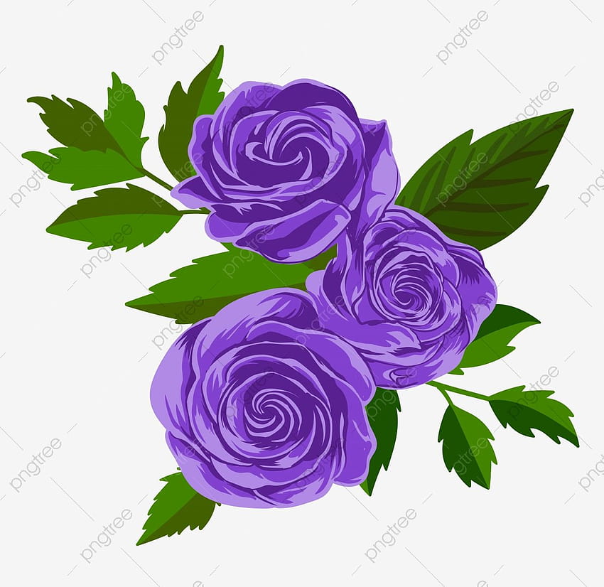 Purple Rose PNG, rose en feu violet Fond d'écran HD