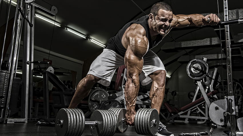 Man Gym Muscle Workout Sport Dumbbells 2560x1440, powerlifting HD wallpaper