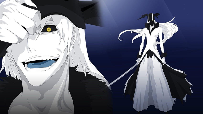 Bleach Ichigo Hollow Form, bleach ichigo vizard bankai HD wallpaper ...