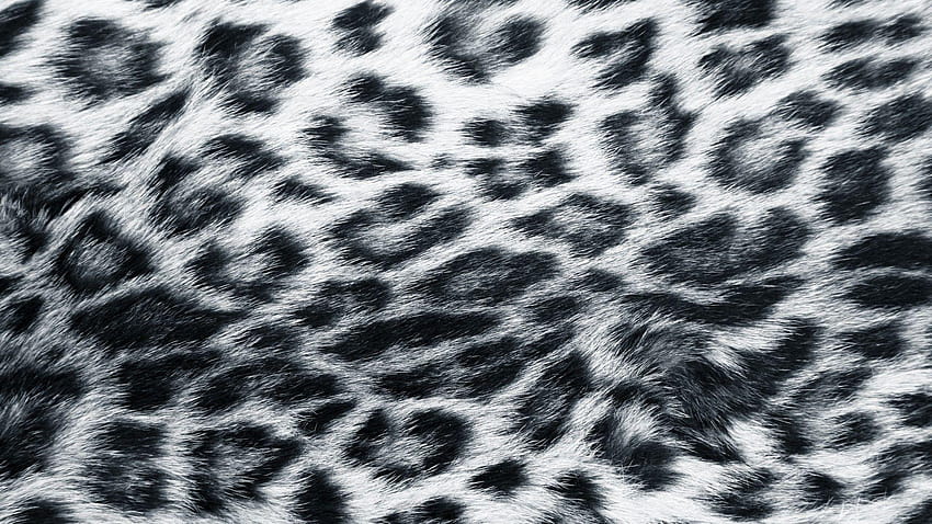 leopard print twitter backgrounds