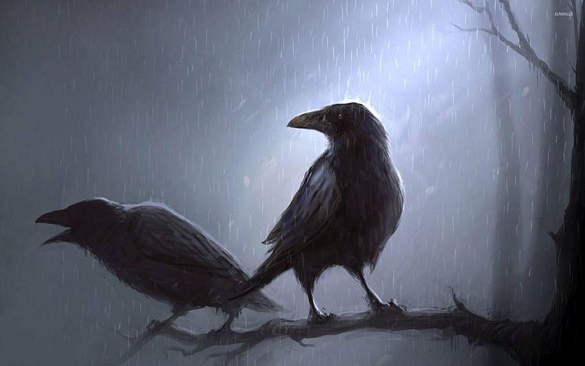 Crows standing in the rain on the branch HD wallpaper