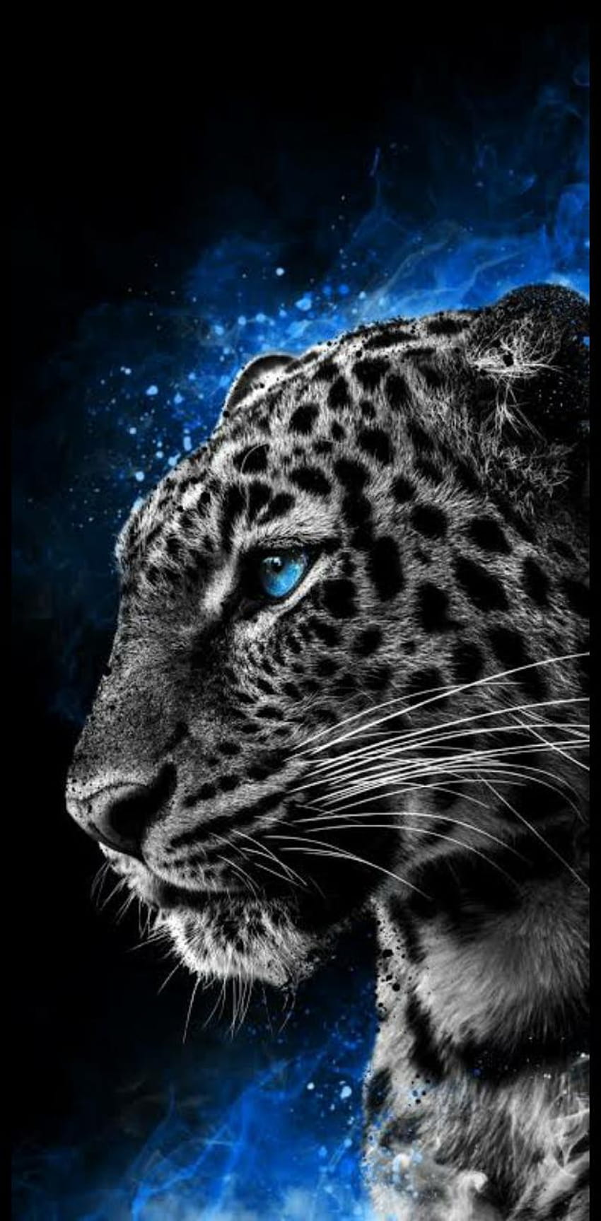 Cheetah keren oleh Fghgdsfg wallpaper ponsel HD