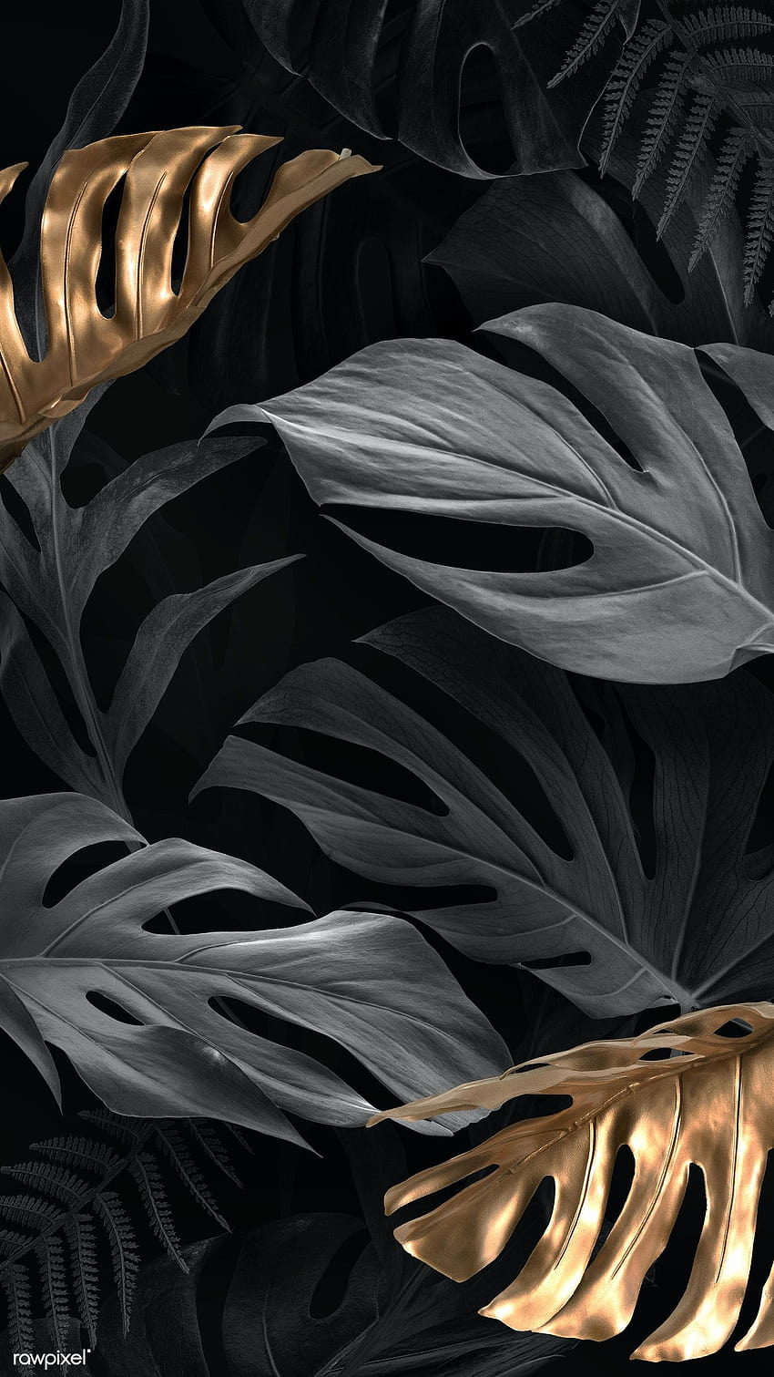 Gold und schwarze Blätter der Monstera Deliciosa, schwarz und golden HD-Handy-Hintergrundbild