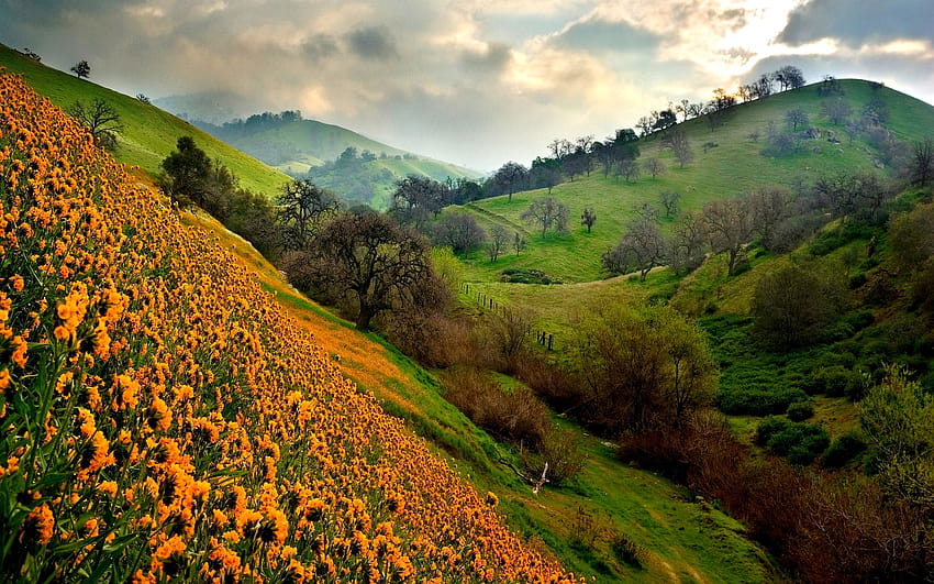 Beautiful Valley, biosphere HD wallpaper | Pxfuel