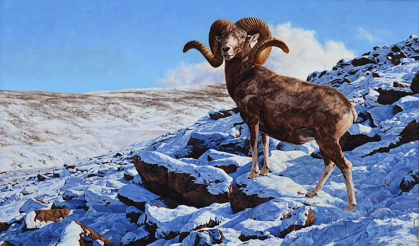 757216 Greg Beecham, archar, Pictorial art, Sheep, Ram, Snow, blue sheep HD wallpaper