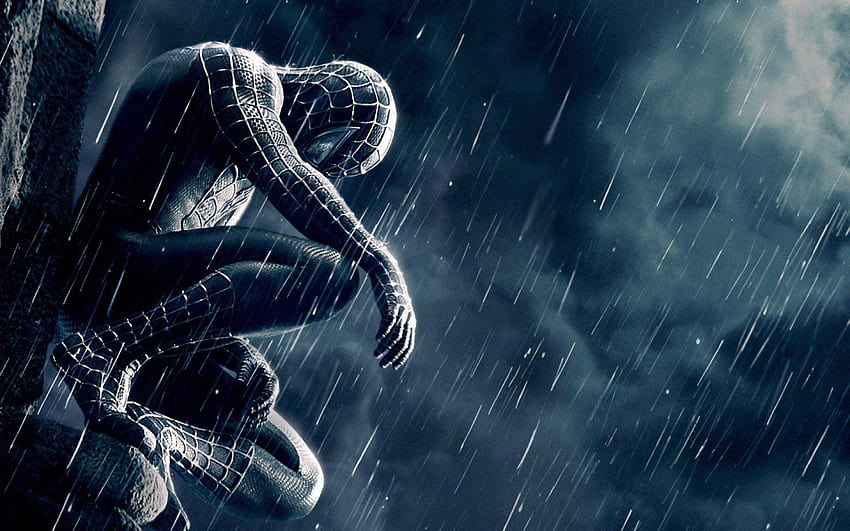 Spiderman Full and Backgrounds, spiderman black suit HD wallpaper
