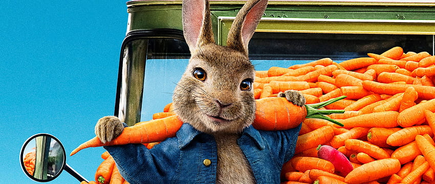 2560x1080 Peter Rabbit 2 The Runaway 2020 2560x1080 Resolution , Backgrounds, and, peter rabbit 2 the runaway movie HD wallpaper
