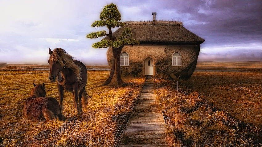 Drawn . Horses have a small house HD wallpaper