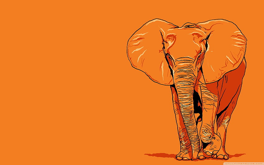 Elefanten-Vektorgrafiken ❤ für Ultra TV, Elefantenkunst HD-Hintergrundbild
