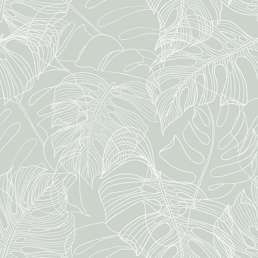 Monstera Leaf in sage green, white and sage green HD phone wallpaper