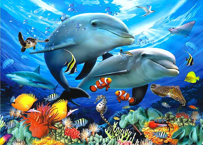 Oceanos Estrela do Mar Oceano Natureza Ouriços Laranja, animais oceânicos papel de parede HD