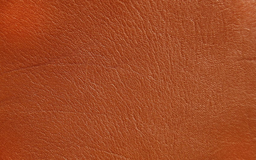Brown Leather, color leather HD wallpaper