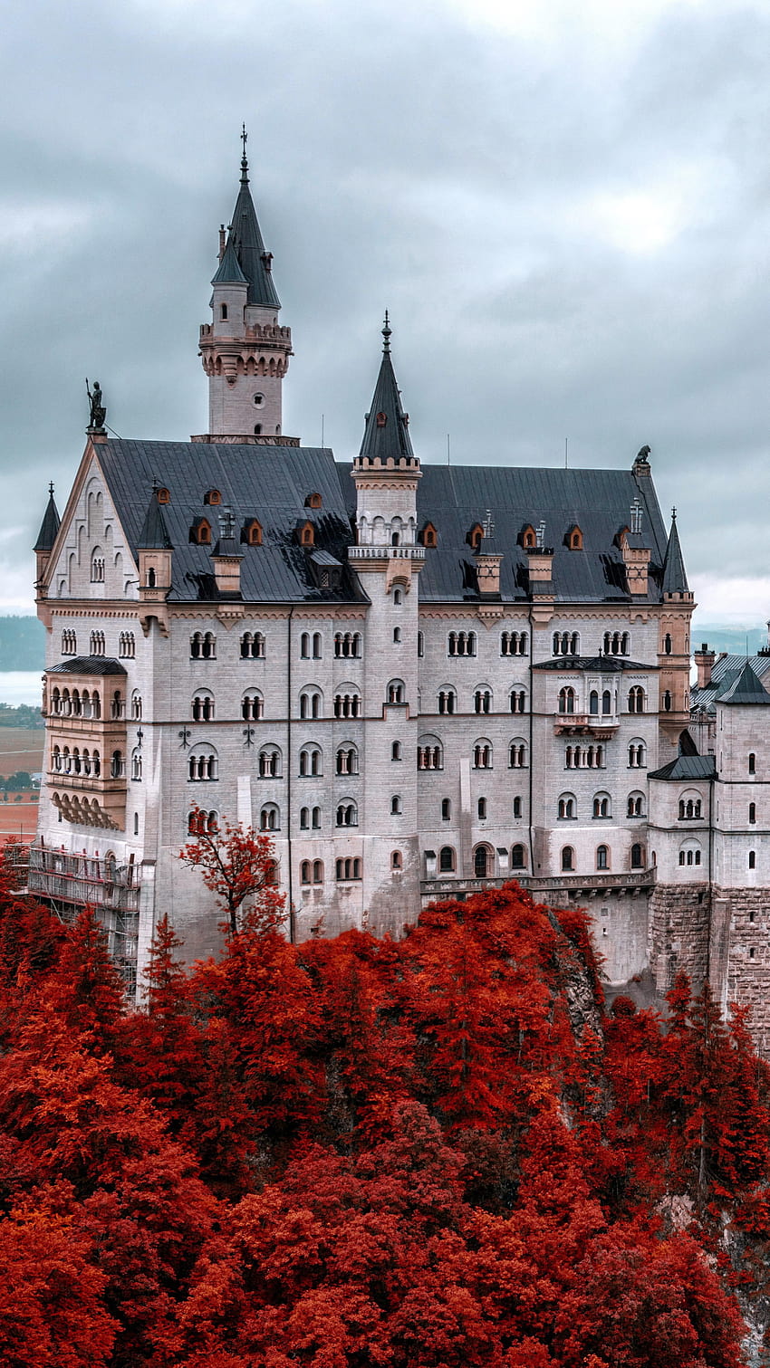 ปราสาท Neuschwanstein, บาวาเรีย, เยอรมนี, การท่องเที่ยว, การเดินทาง, สถาปัตยกรรม, ฤดูใบไม้ร่วงของเยอรมนี วอลล์เปเปอร์โทรศัพท์ HD