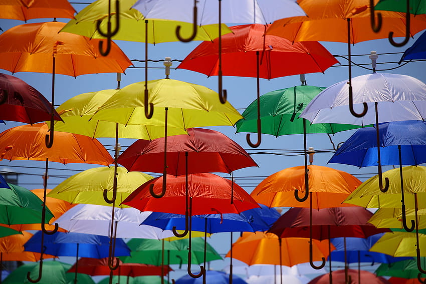 Bunter Regenschirm HD-Hintergrundbild