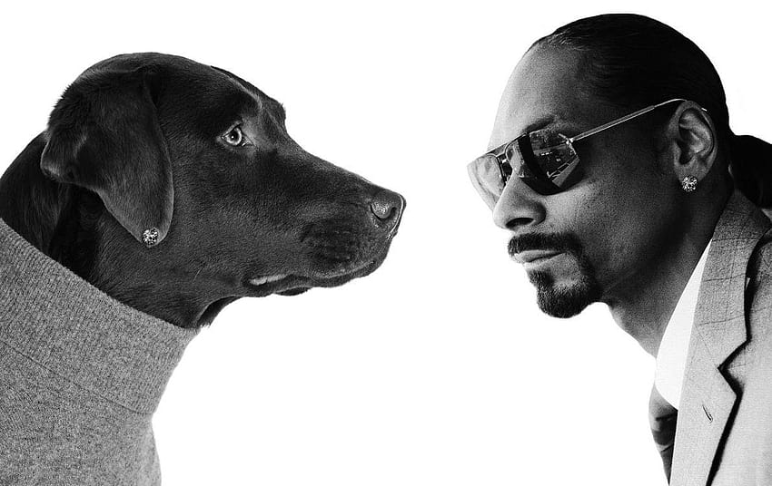 Snoop Dogg ไม่เพียงแต่รักสุนัขเท่านั้นแต่ยังรักแมวอีกด้วย วอลล์เปเปอร์ HD