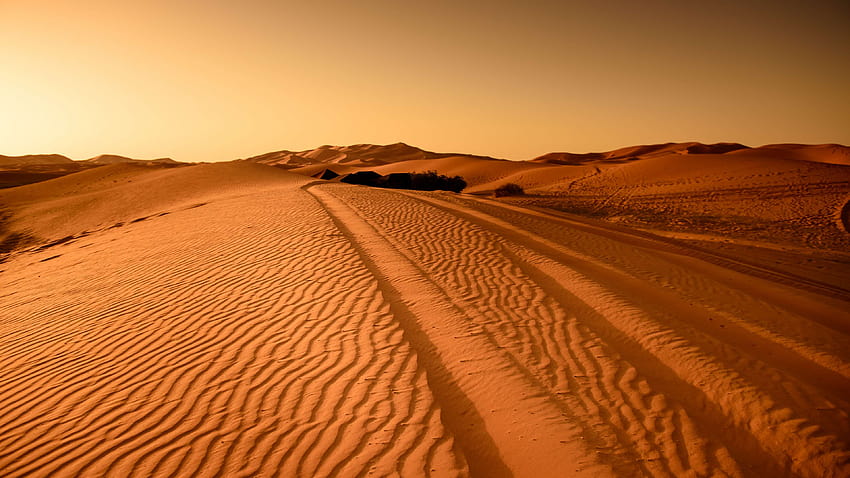 aventure, aride, stérile, aube, désert, sécheresse, sec, dune, colline, chaud Fond d'écran HD