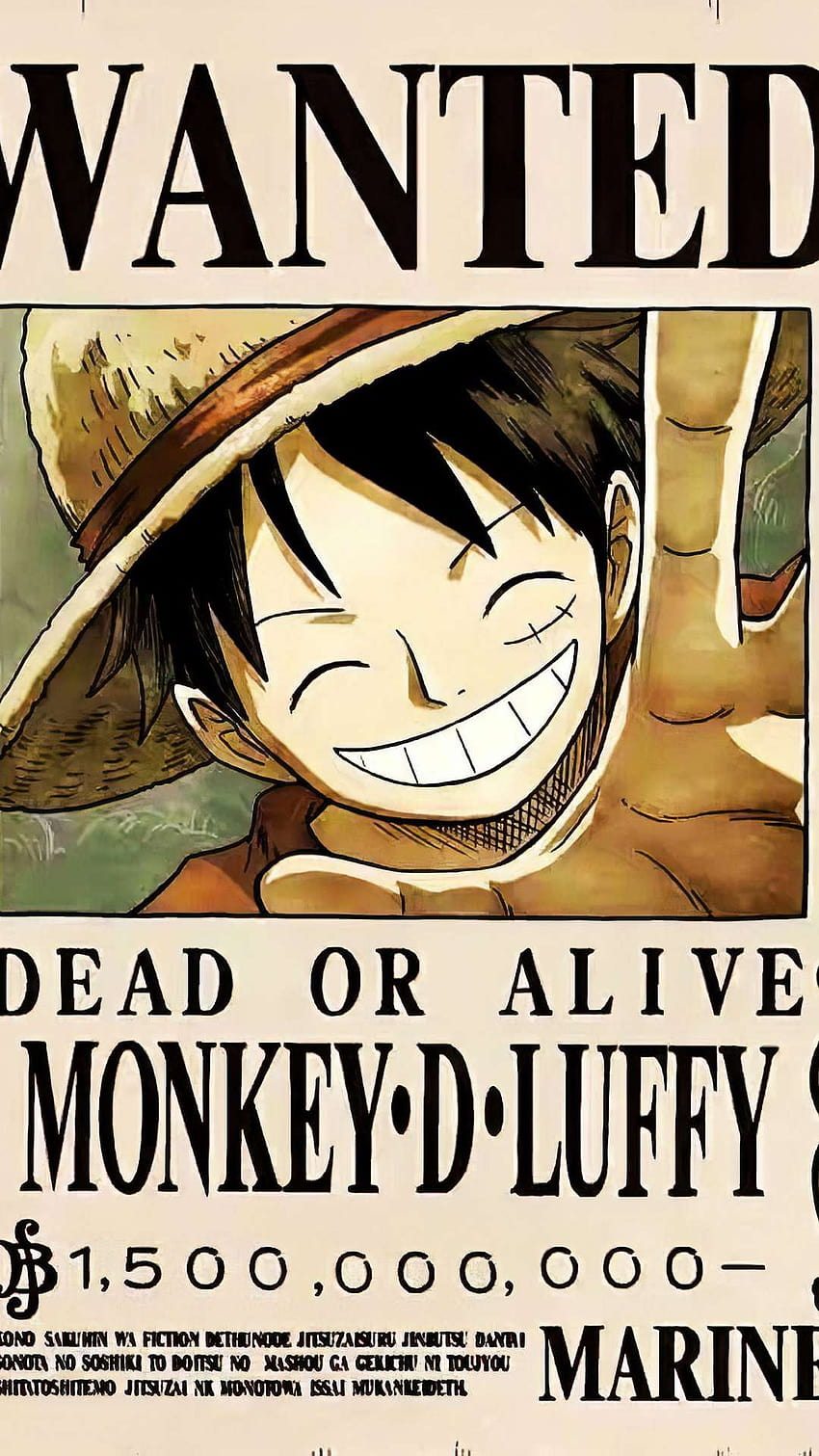 Luffy Wanted Poster, zoro wanted HD phone wallpaper