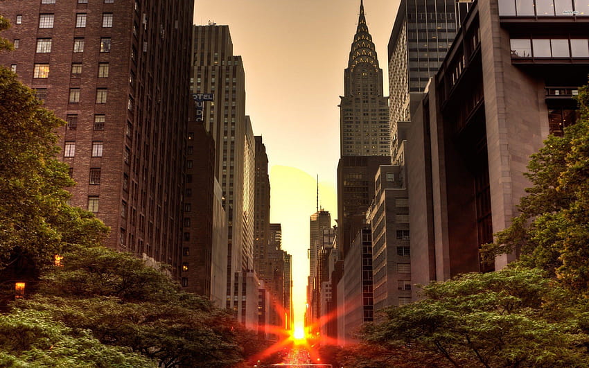 Park Avenue, New York City HD-Hintergrundbild