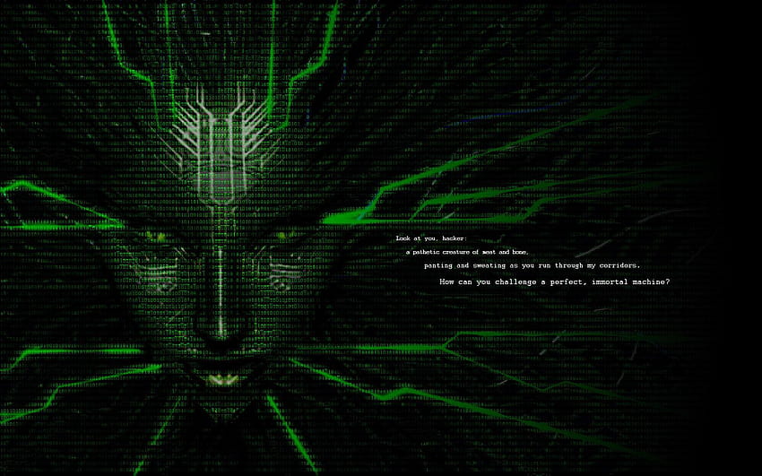crâne de hacker vert Fond d'écran HD