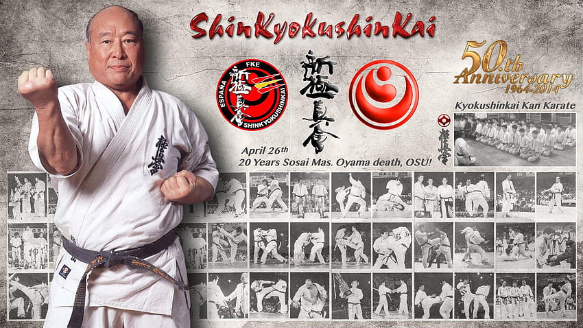 karate kyokushin HD wallpaper