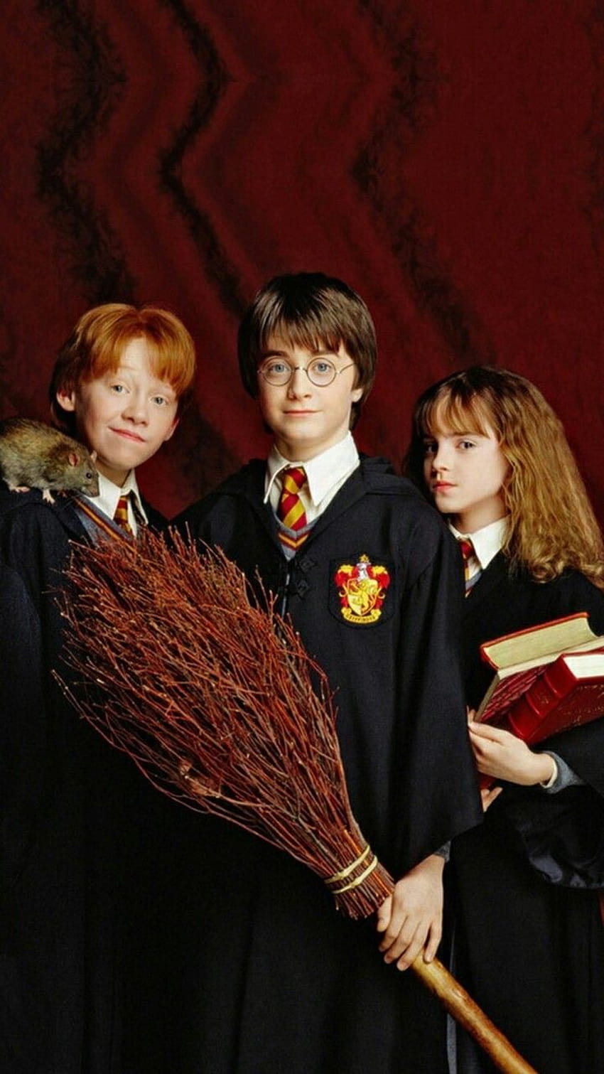 en harry potter, harry potter ron weasley hermione granger fondo de pantalla del teléfono