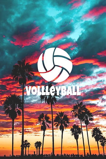 Girl Holding A Volleyball Pose On A Dark Background, Pictures Of Volleyball  Players Background Image And Wallpaper for Free Download