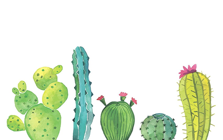 2 Cactus Watercolor, colorful cactuses aesthetic HD wallpaper