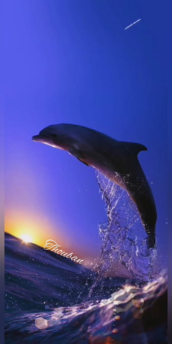 16949 Ocean Theme Wallpapers Images Stock Photos  Vectors  Shutterstock