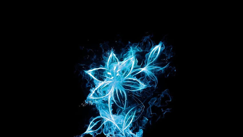 Blue flowers glow fire flower, glowing plants HD wallpaper