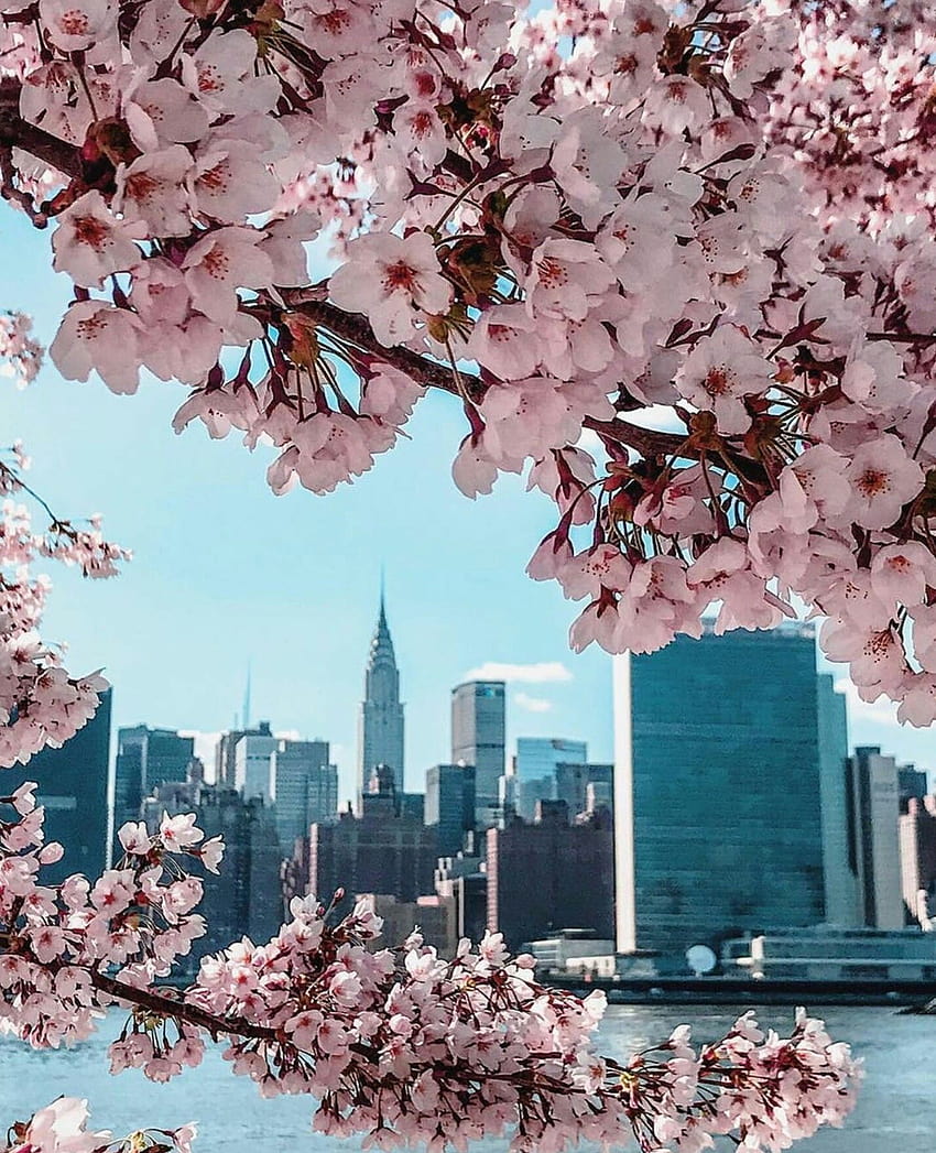 Città di New York, primavera di New York City Sfondo del telefono HD