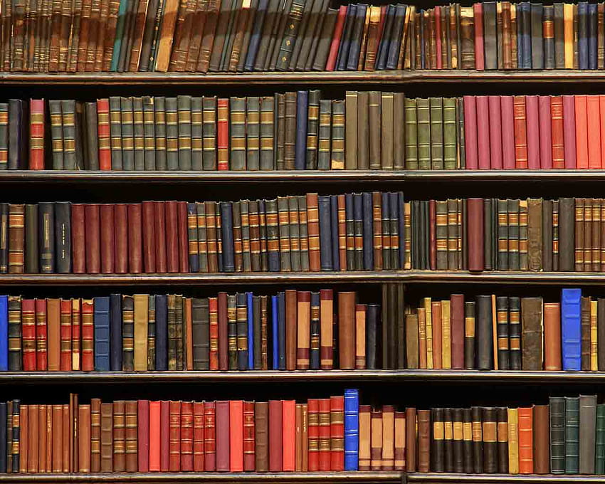 Library Book Mural To peruse our art, art books HD wallpaper