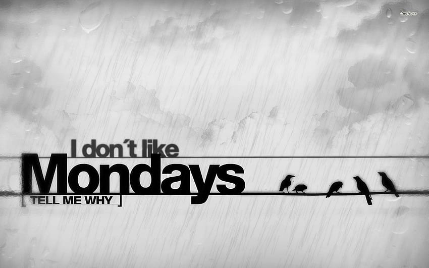 Hate Mondays, i hate monday HD wallpaper