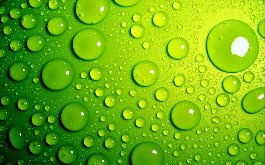 Green Water Bubbles, water bubble circle HD wallpaper