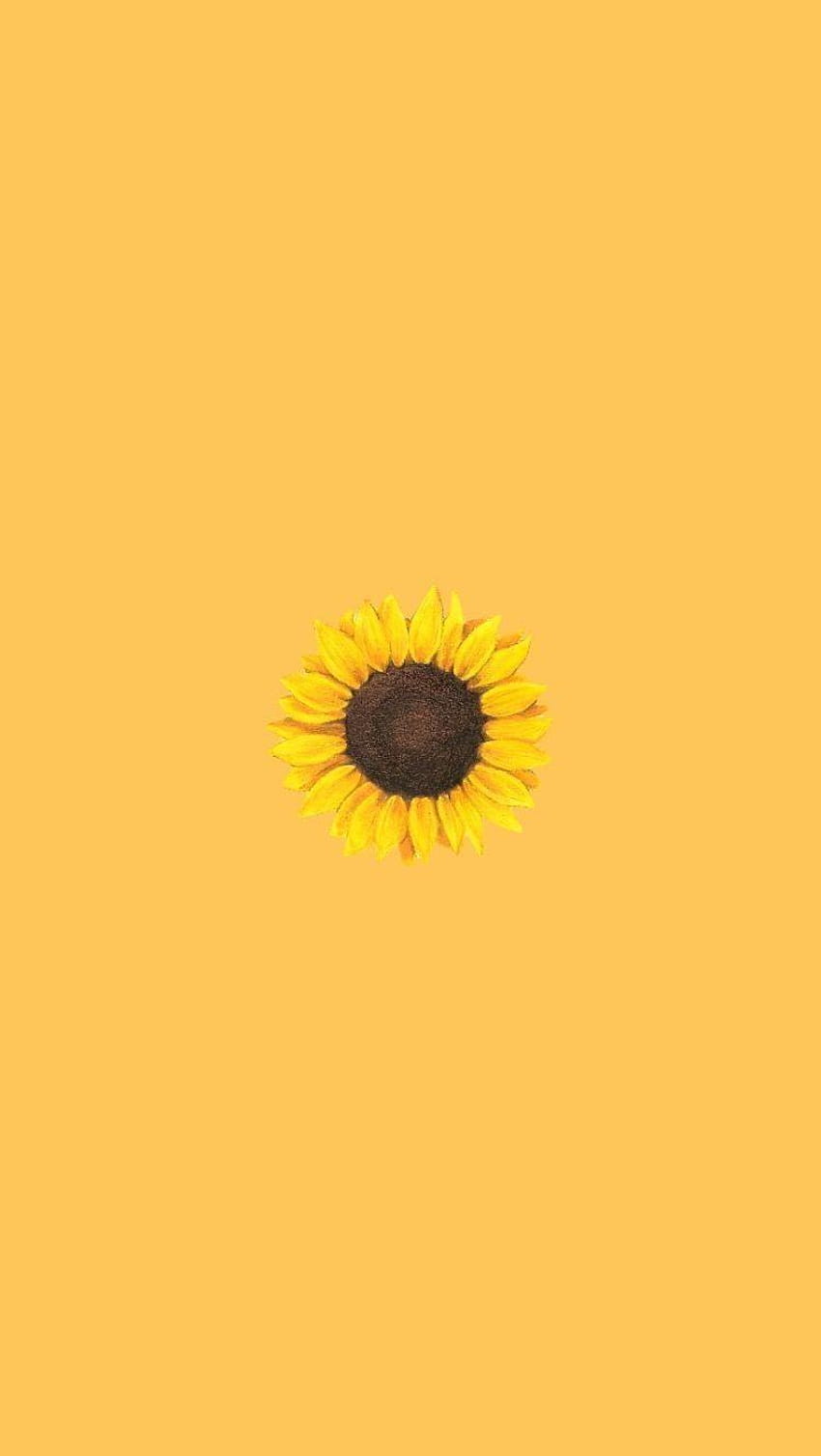 Sunflower Aesthetic Aesthetic Sunflower Hd Phone Wallpaper Pxfuel 8003