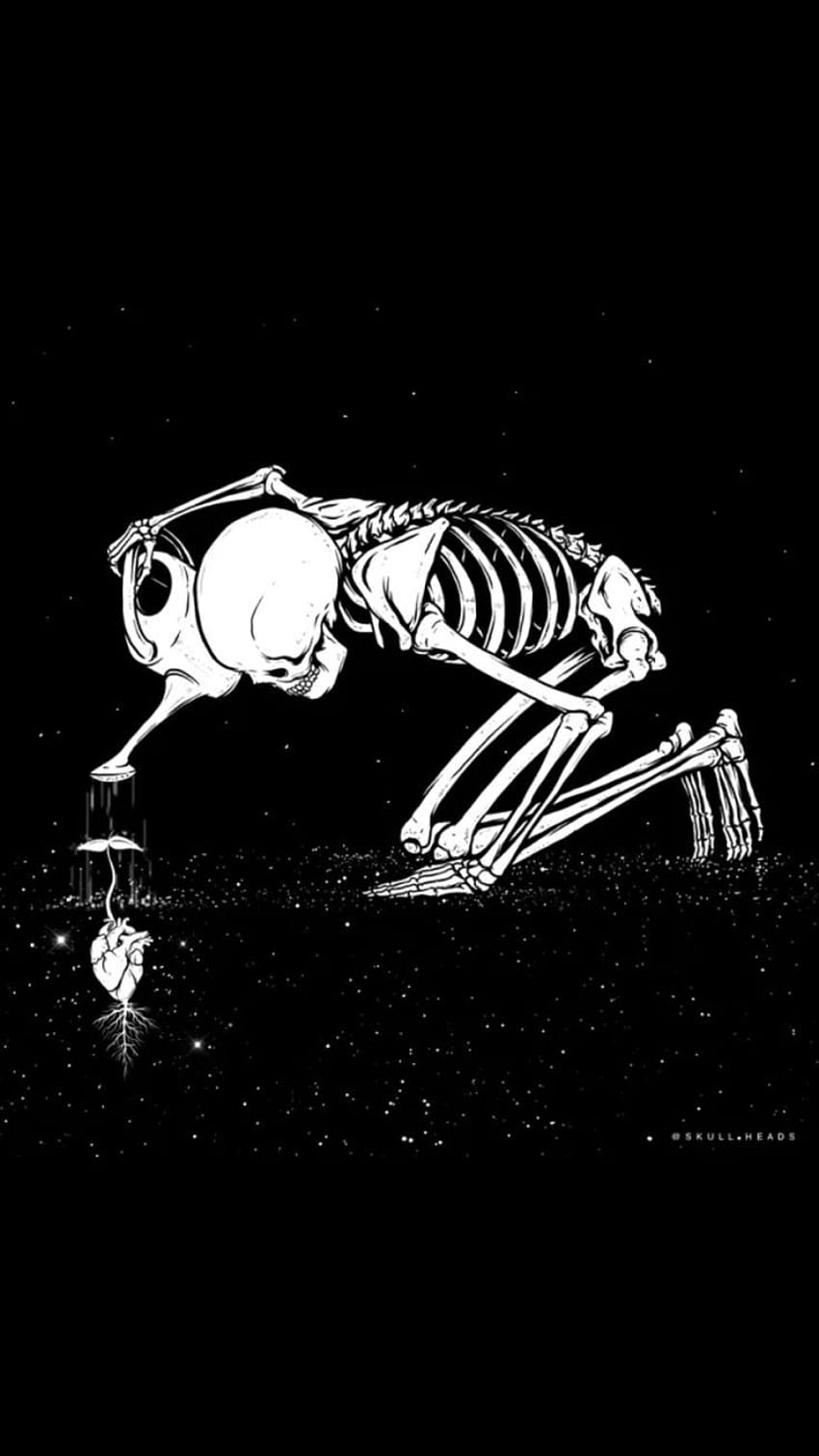 Skeleton::…คลิกที่นี่เพื่อดูธรรมชาติ ธรรมชาติ : Skeleton Here โครงกระดูกสีดำ วอลล์เปเปอร์โทรศัพท์ HD