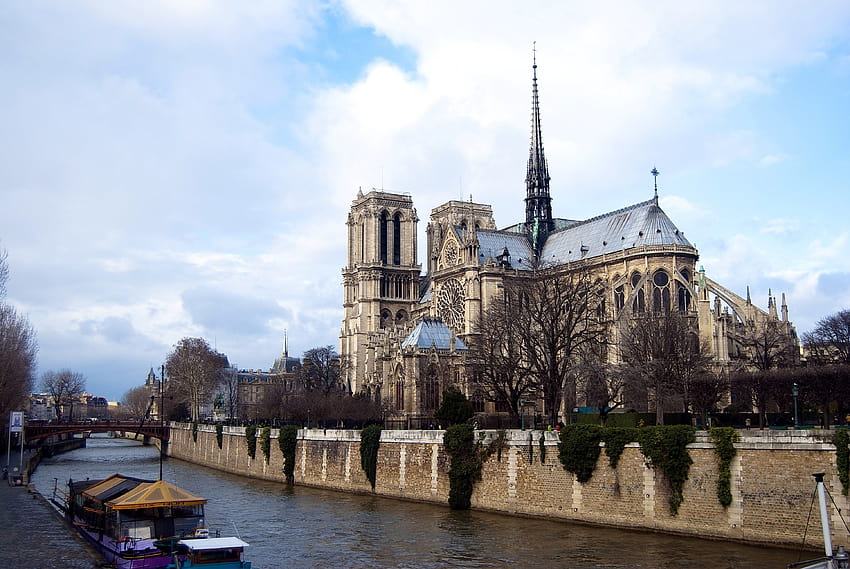 notre dame de paris, backgrounds paris notre dame HD wallpaper