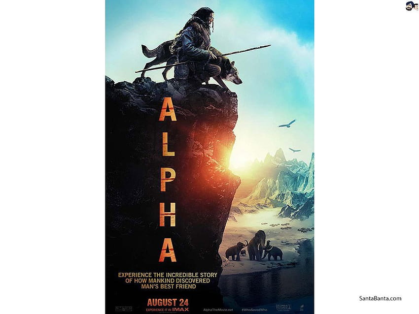 Alpha Movie HD wallpaper | Pxfuel