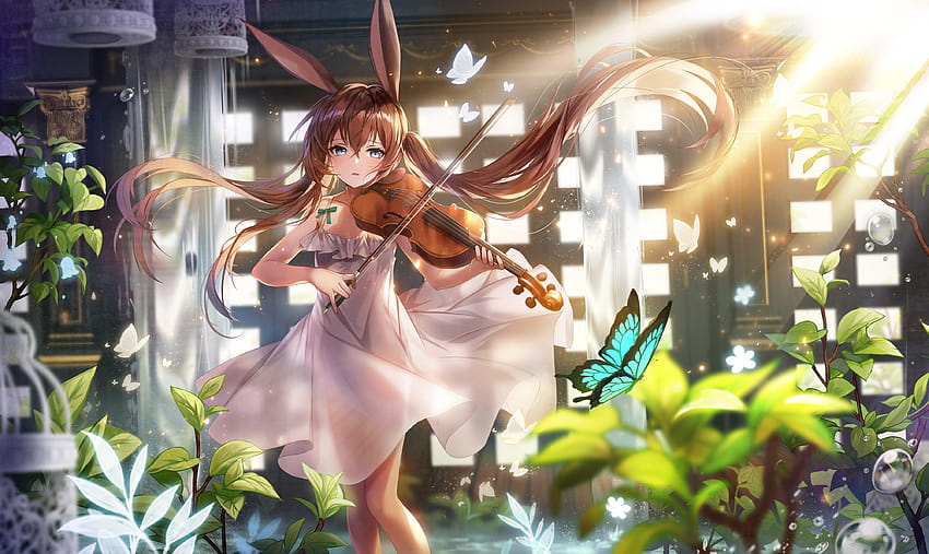 Fiddle Garden Summer Sun Arknights Anime, anime summer sunset HD wallpaper