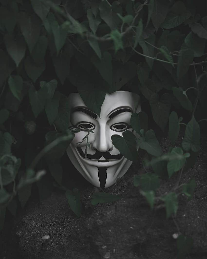 : Máscara de Guy Fawkes en planta de hoja verde, ropa, tipo de máscara fondo de pantalla del teléfono