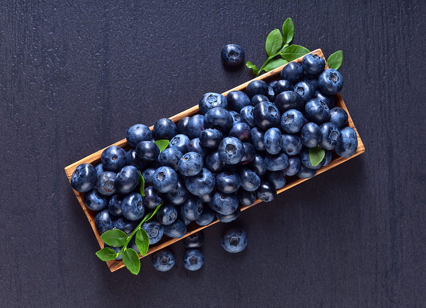 Blueberries Food Berry Many Gray backgrounds 5070x3660 HD wallpaper