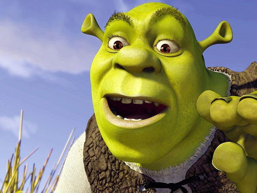 Shrek Meme Wallpaper 73806 1920x1080px