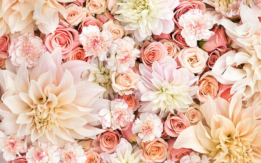 Flores Flores florais, flor de laptop papel de parede HD